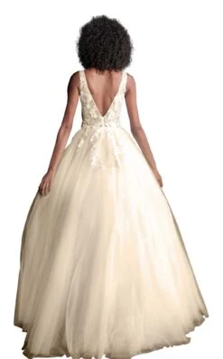 Jovani 55634 Dress -Clothing Shop 55634 back OFF WHITE BLUSH