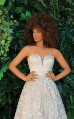 Clarisse 810155 Dress 6 Clarisse 810155 Dress -Clothing Shop 810155 ChampagneNude F Clarisse 237