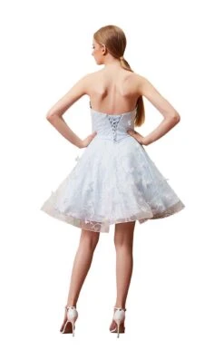 Jadore J14093 Dress -Clothing Shop J14093 Dove back