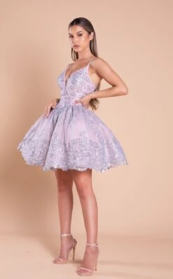 Portia And Scarlett PS21007 Dress -Clothing Shop PS21007 BLUSH 1