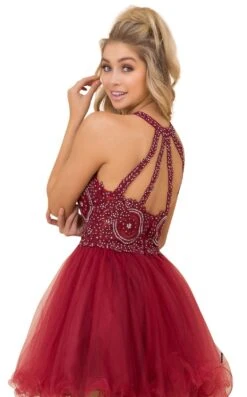Nox Anabel B652 Dress -Clothing Shop b652 burgundy 1 zoom